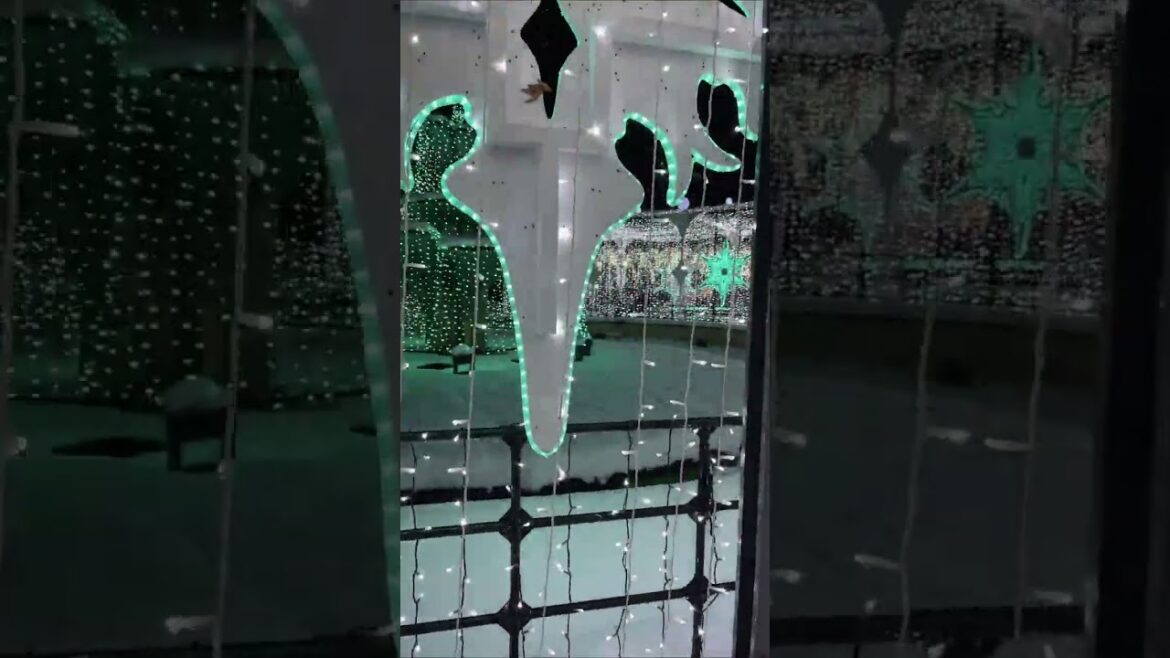 EP 02 | Sapporo Illumination | Walking | December 2022 #shorts #sapporo #hokkaido #japan #2022