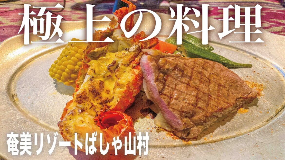 奄美大島のリゾートホテル 食事もホテルも最高でした! 奄美リゾートばしゃ山村 奄美大島のリゾートホテル 食事もホテルも最高でした! 奄美リゾートばしゃ山村