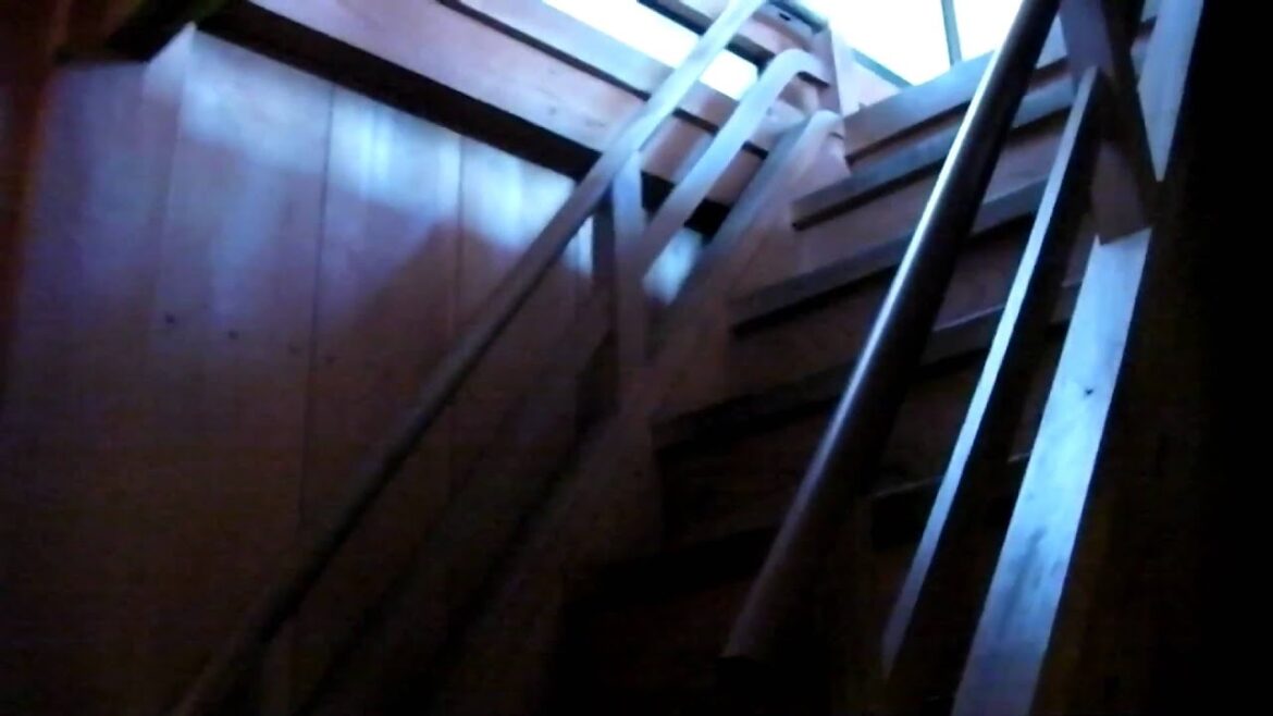 Kakegawa Castle Ninja Attack - MickNFumi