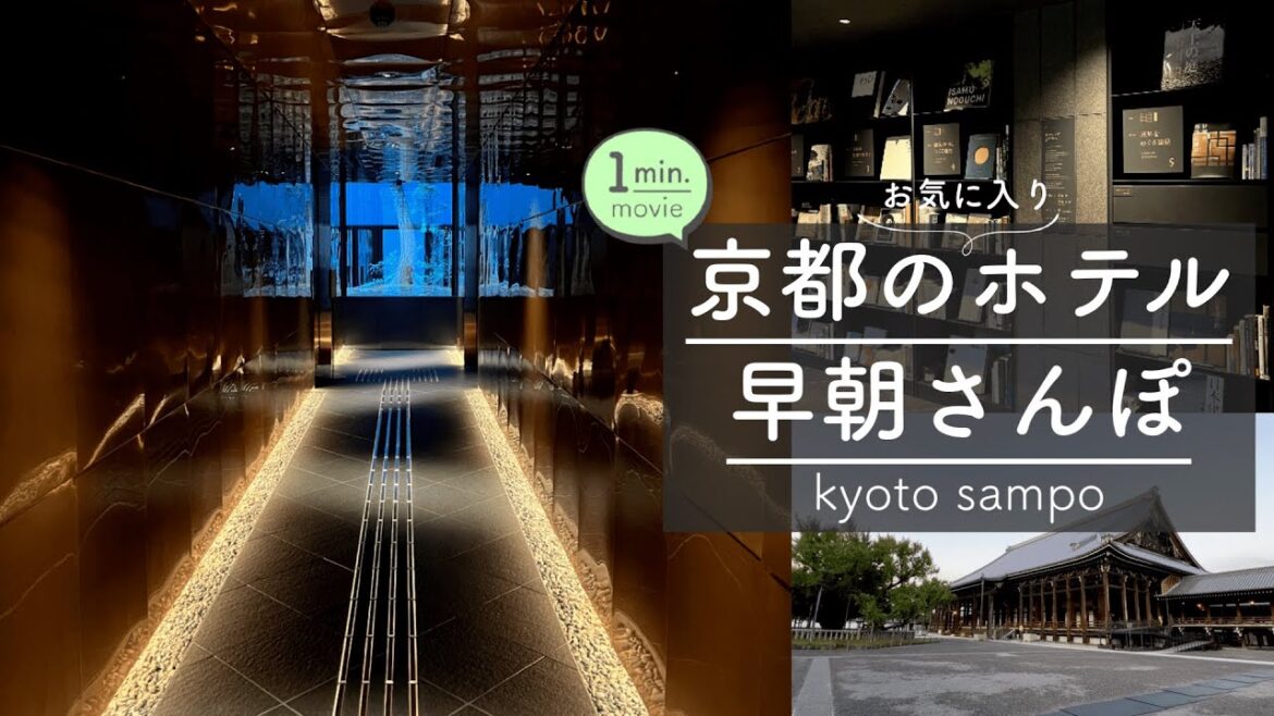 【1分で見るおさんぽ動画】京都のお洒落なホテルと早朝さんぽで心を整える  / hotel tou nishinotoin kyoto / 女ひとり旅 / 西本願寺  / kyoto  / travel