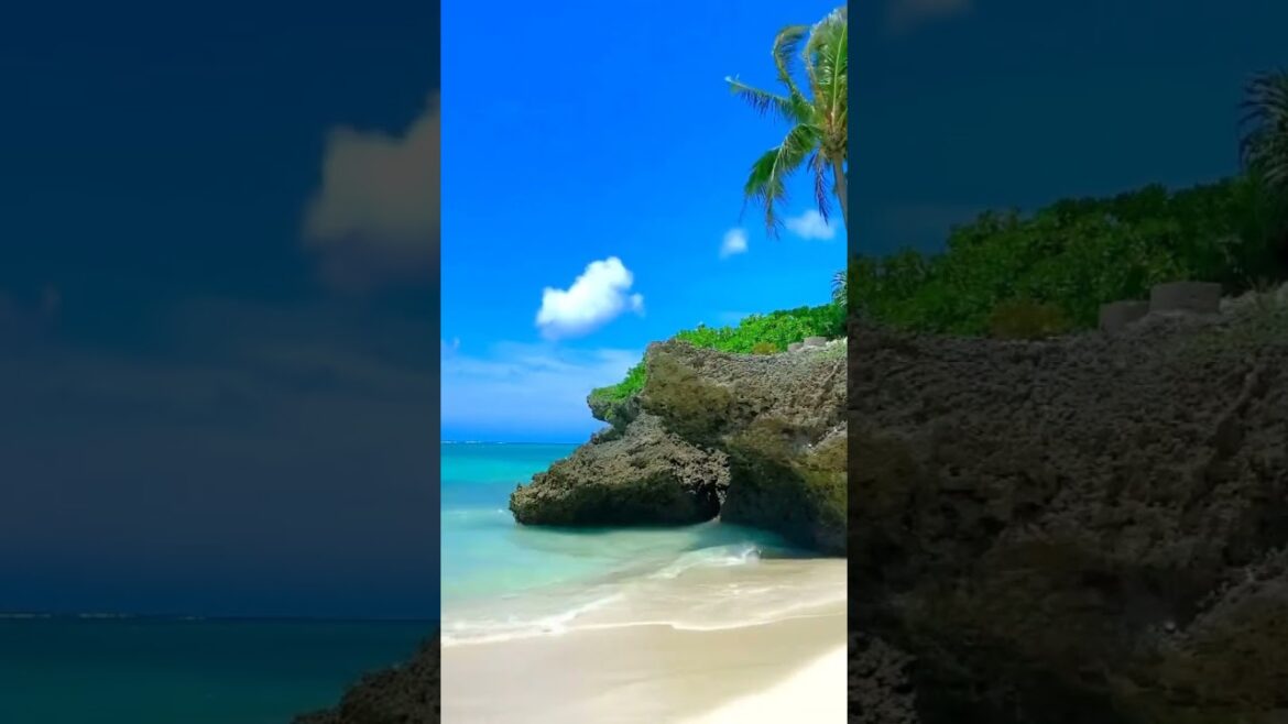 Okinawa Japan #okinawabeach #okinawa #okinawatrip #japan