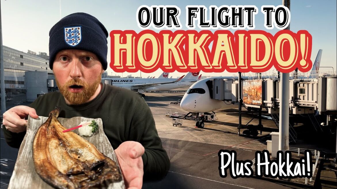 Our JA10XJ flight from Haneda to Hokkaido! Also, trying Hokkai! Our JA10XJ flight from Haneda to Hokkaido! Also, trying Hokkai!