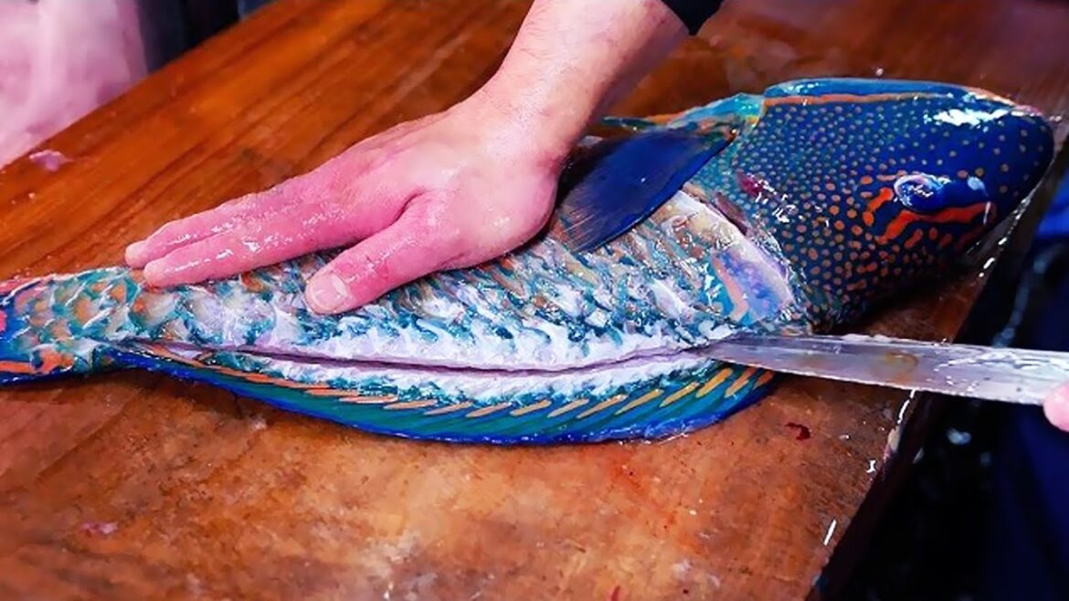 Japanese Street Food – GIANT PARROTFISH SASHIMI Okinawa Japan Japanese Street Food - GIANT PARROTFISH SASHIMI Okinawa Japan