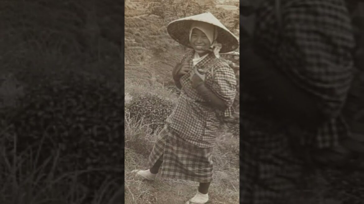 Japanese people in a 100-year-old photo A woman working in a Shizuoka tea field, Yokozuna,  #shorts