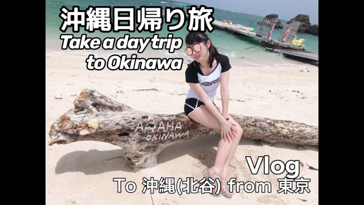 Vlog沖縄(北谷)日帰り旅行／A day trip to Okinawa ,Japan.