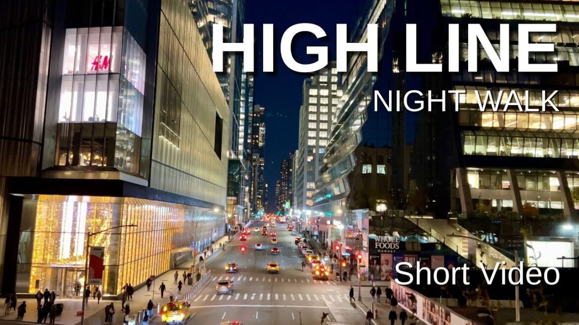 NEW YORK CITY Walking Tour [4K] - THE HIGH LINE ... Night Walk (Short Video)