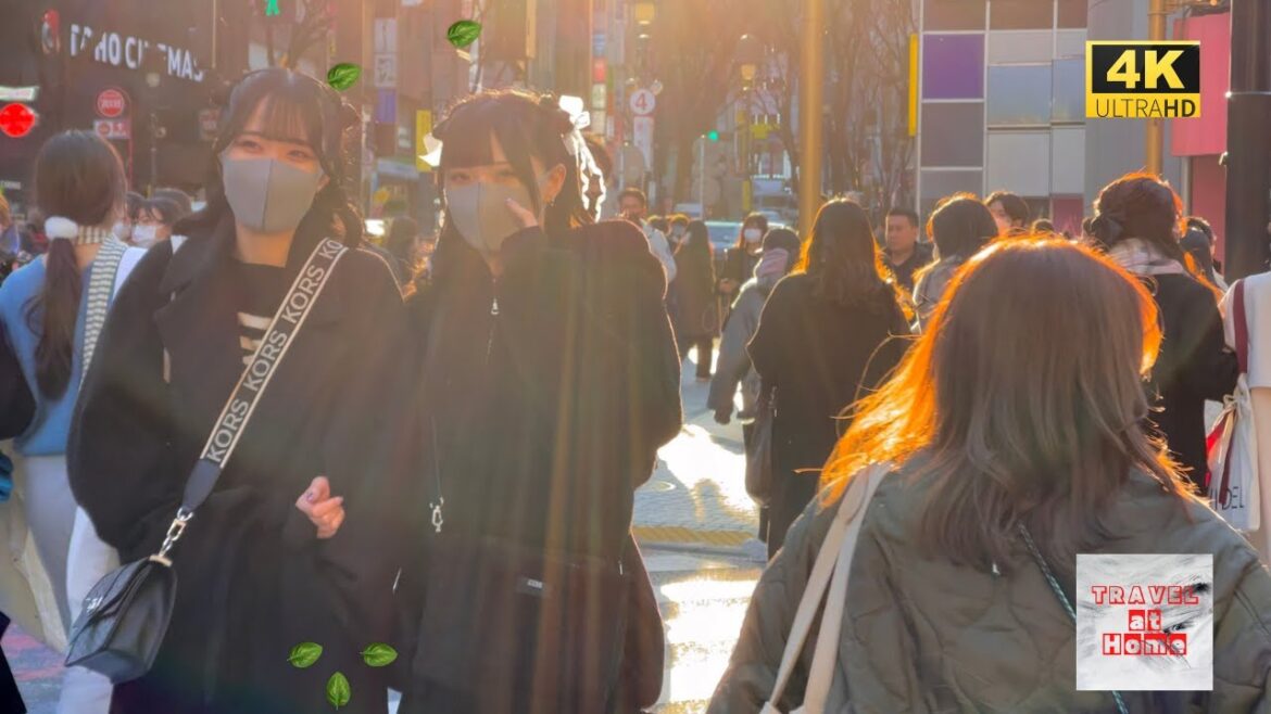 4k hdr japan | Walk in Shibuya Tokyo japan | Saw the beautiful sunset and girls in Shibuya.