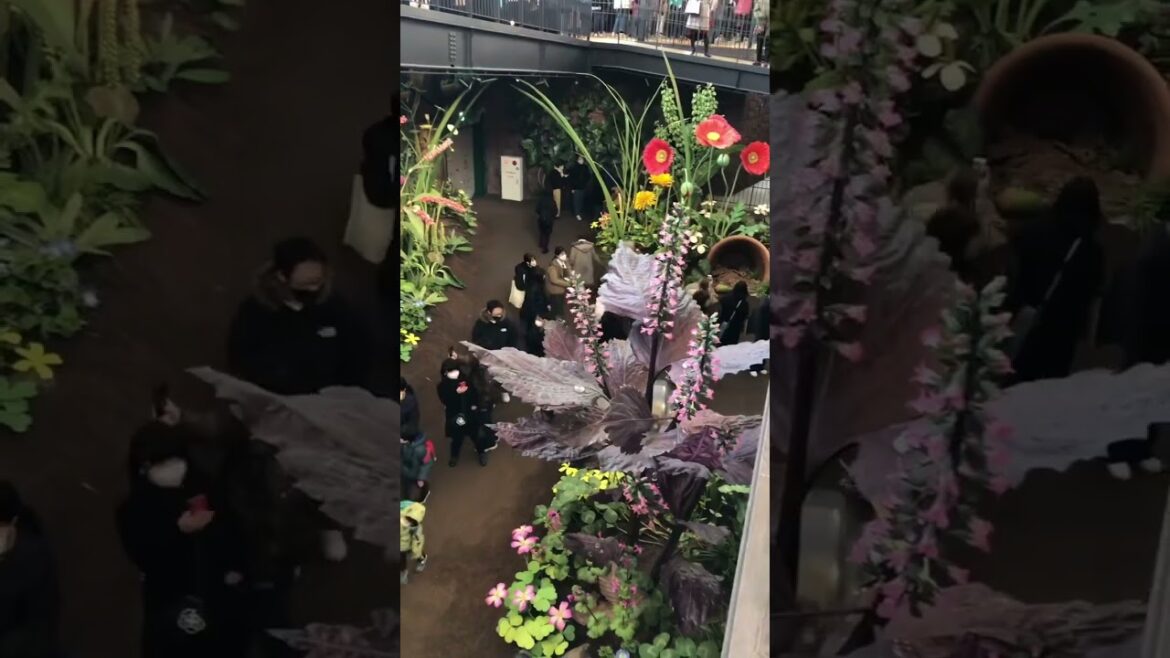 Ghibli park | Grand Warehouse | ジブリ大倉庫 #ghibli #ghiblipark #ジブリ #ジブリ大倉庫 #名古屋 #ジブリパーク