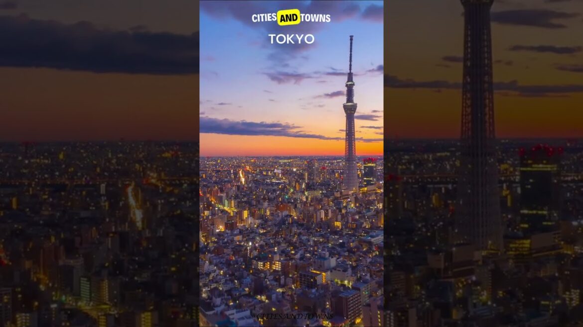 Tokyo, Japan 🇯🇵 in 60 Seconds! Video by drone in 4K