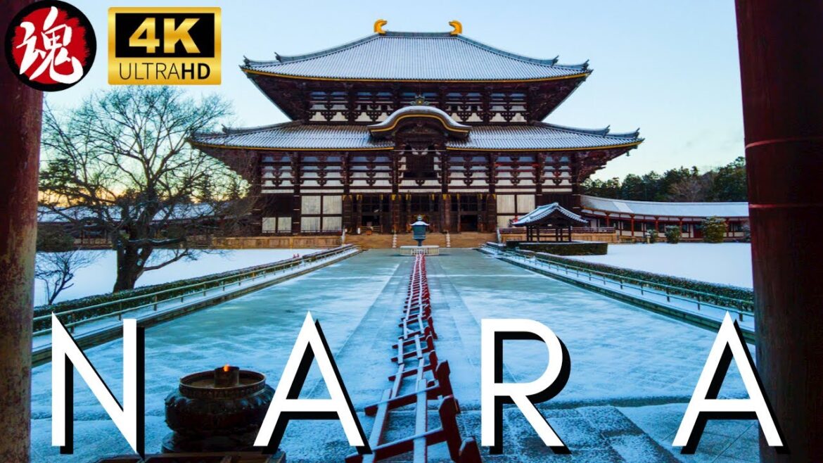 SNOWY WALK IN ICY JAPAN | Nara Deer Park