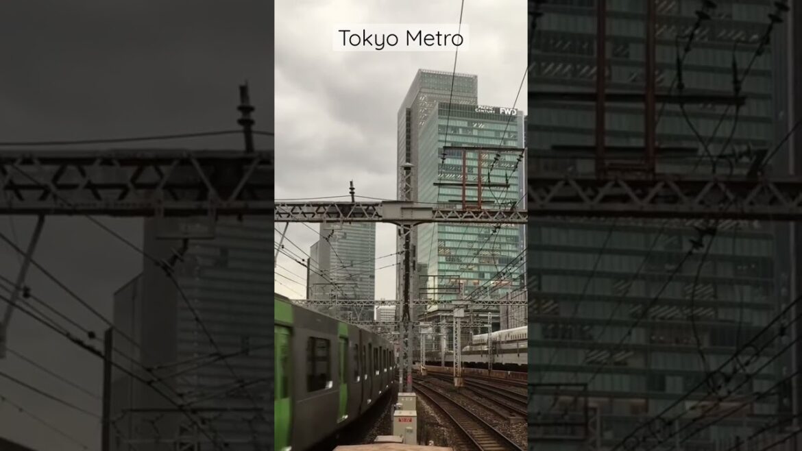 City rail Tokyo #travel #tokyo #railway #speed #video #shorts #japan #metrorail #জাপান #technology