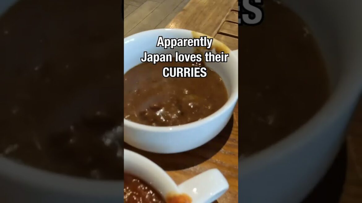 Remote working in Japan #travel #japan #nagano #digitalnomad #remotework #hoteltour #fulltimetravel