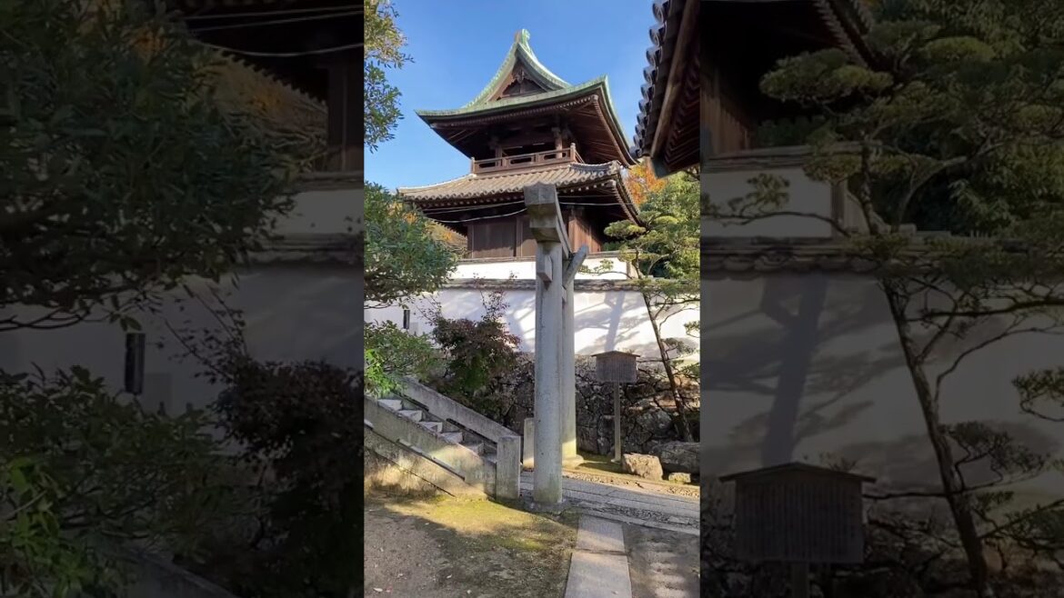 La Venecia de Japón; ¡Descubre Kurashiki! 🎌 La Venecia de Japón; ¡Descubre Kurashiki! 🎌