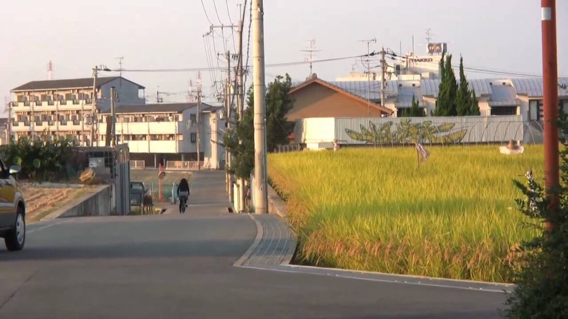 JMJ - 01 - Countryside of Osaka