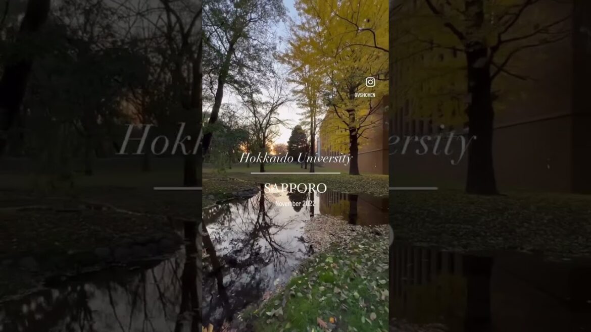 Sapporo, Japan Nov 2022 #Sapporo #Hokkaido #Japan #travel