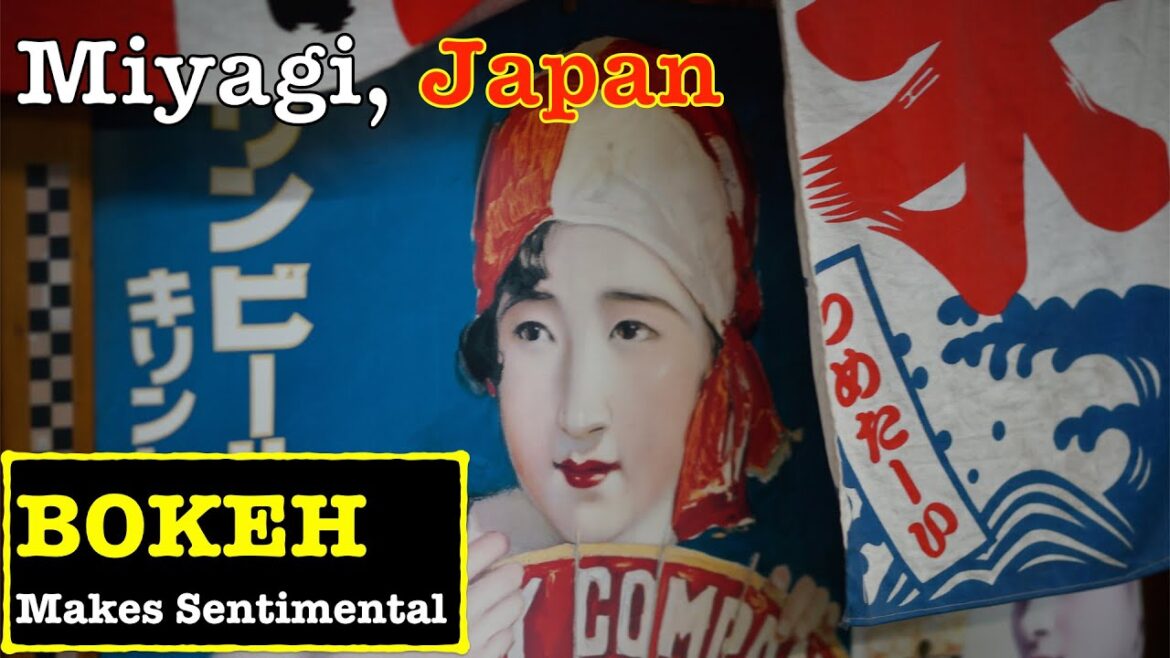 [BOKEH 4K]Photowalk at Sendai City in Miyagi, Weekday afternoon