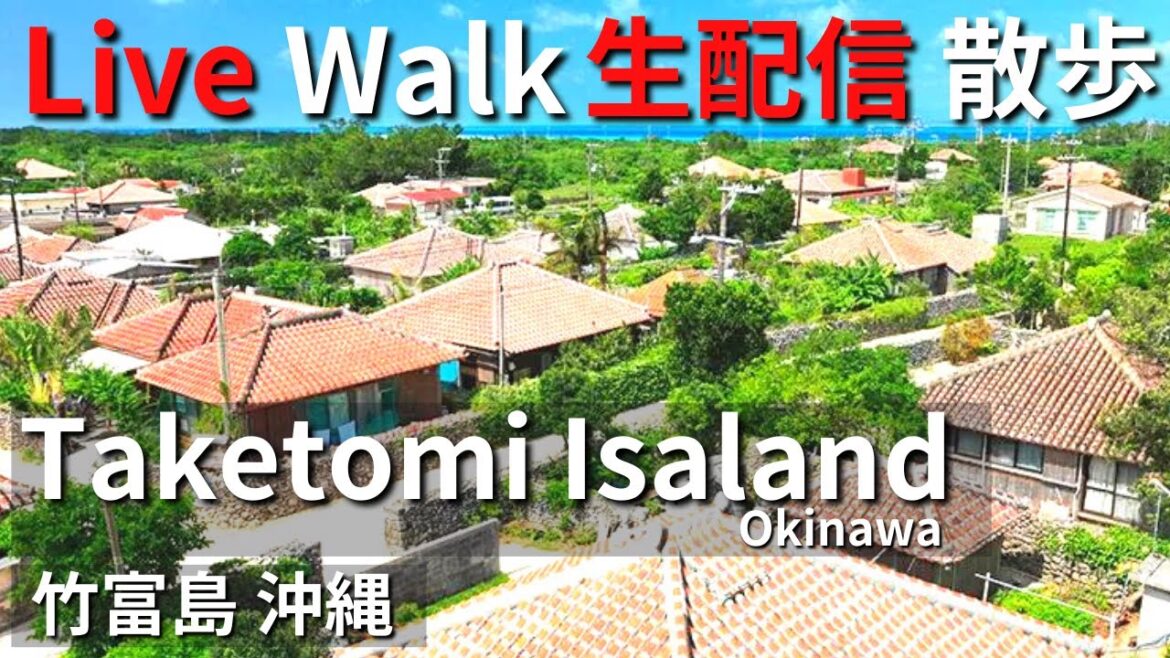 【Live walk / 生配信散歩】Taketomi Island, Okinawa, Japan. Cycle around the island / 沖縄県竹富島をサイクリング!! 【Live walk / 生配信散歩】Taketomi Island, Okinawa, Japan. Cycle around the island / 沖縄県竹富島をサイクリング!!