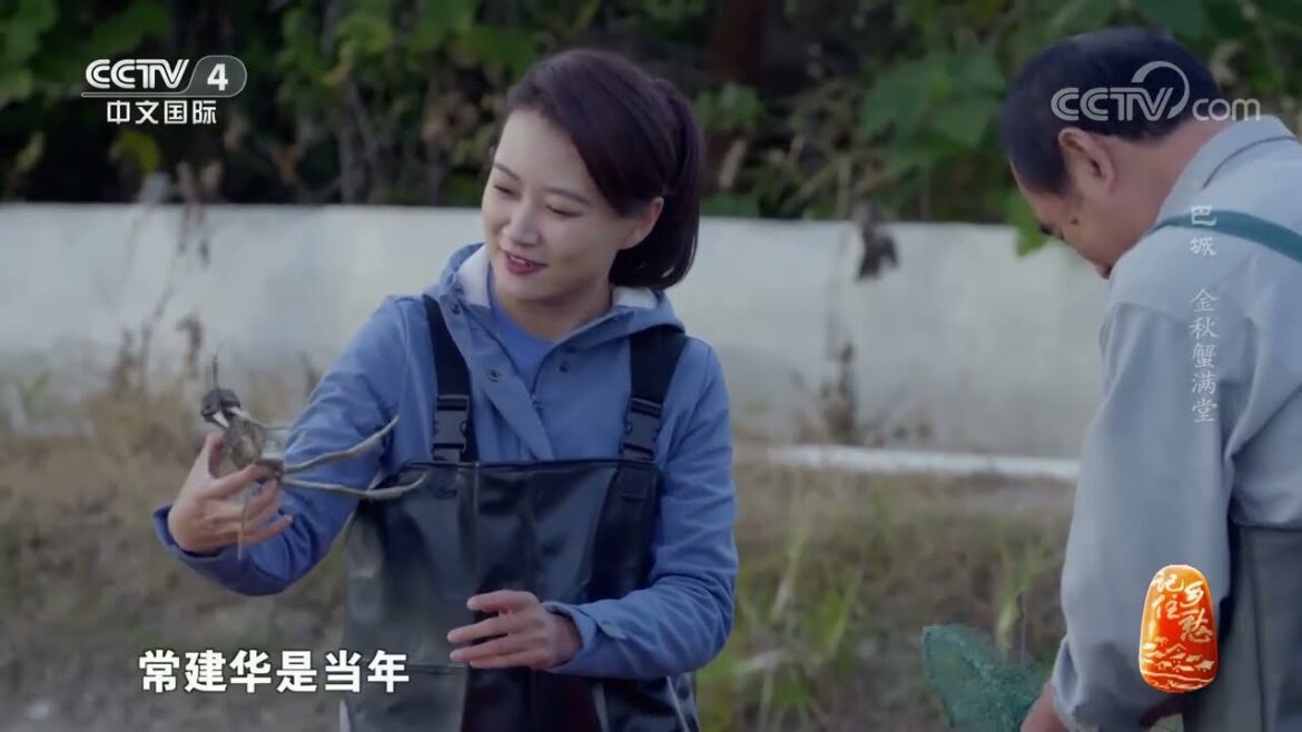 《记住乡愁》第九季 20230208 巴城——金秋蟹满堂|CCTV中文国际 《记住乡愁》第九季 20230208 巴城——金秋蟹满堂|CCTV中文国际