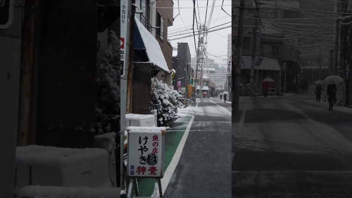 Heavy Snowfall in Tokyo Japan [4K] ❄️☃️🇯🇵 #tokyo #snow #snowfall #walkthrough #japantravel #shorts
