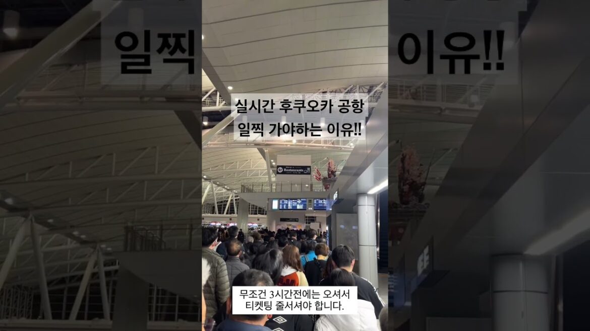 실시간 후쿠오카 공항 최소 3시간전에 가야 하는 이유