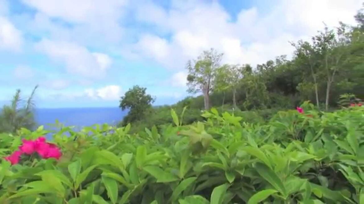 World Tour - Hawaii, Tokyo, Hong Kong, Singapore and more!