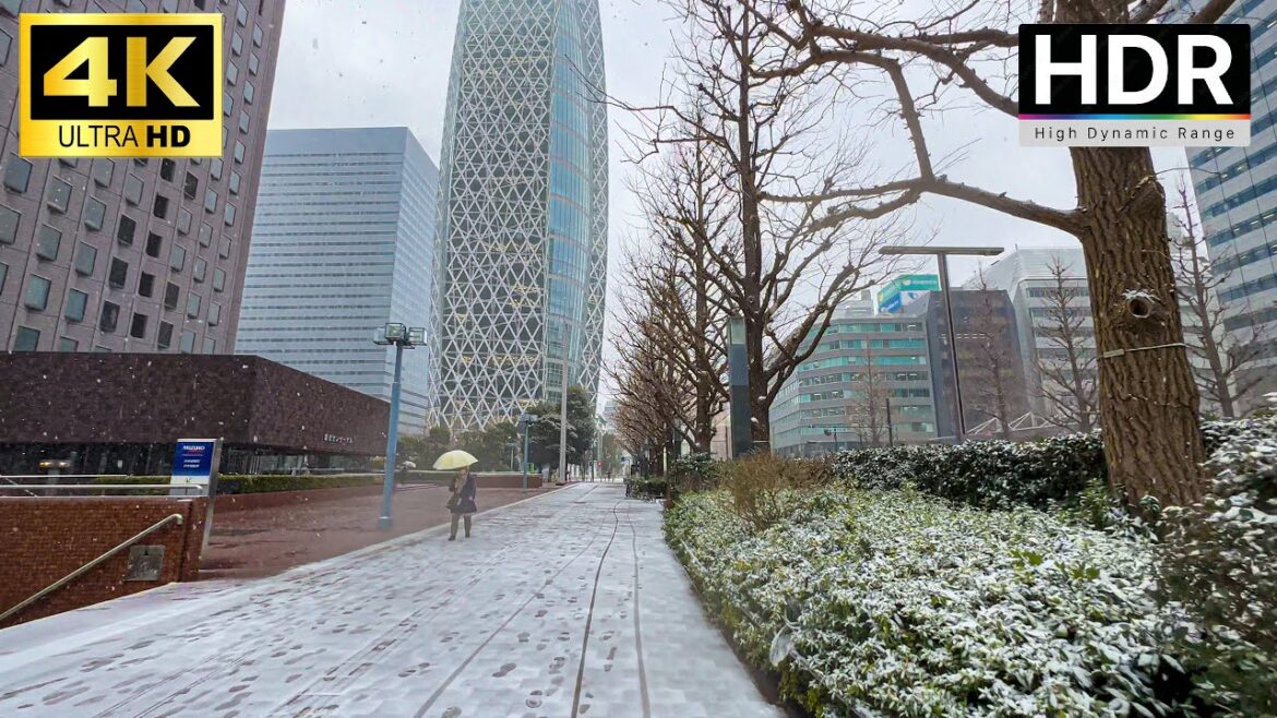 【4K HDR】Tokyo Walk – Snowy day in Tokyo (Shinjuku), Japan 【4K HDR】Tokyo Walk - Snowy day in Tokyo (Shinjuku), Japan
