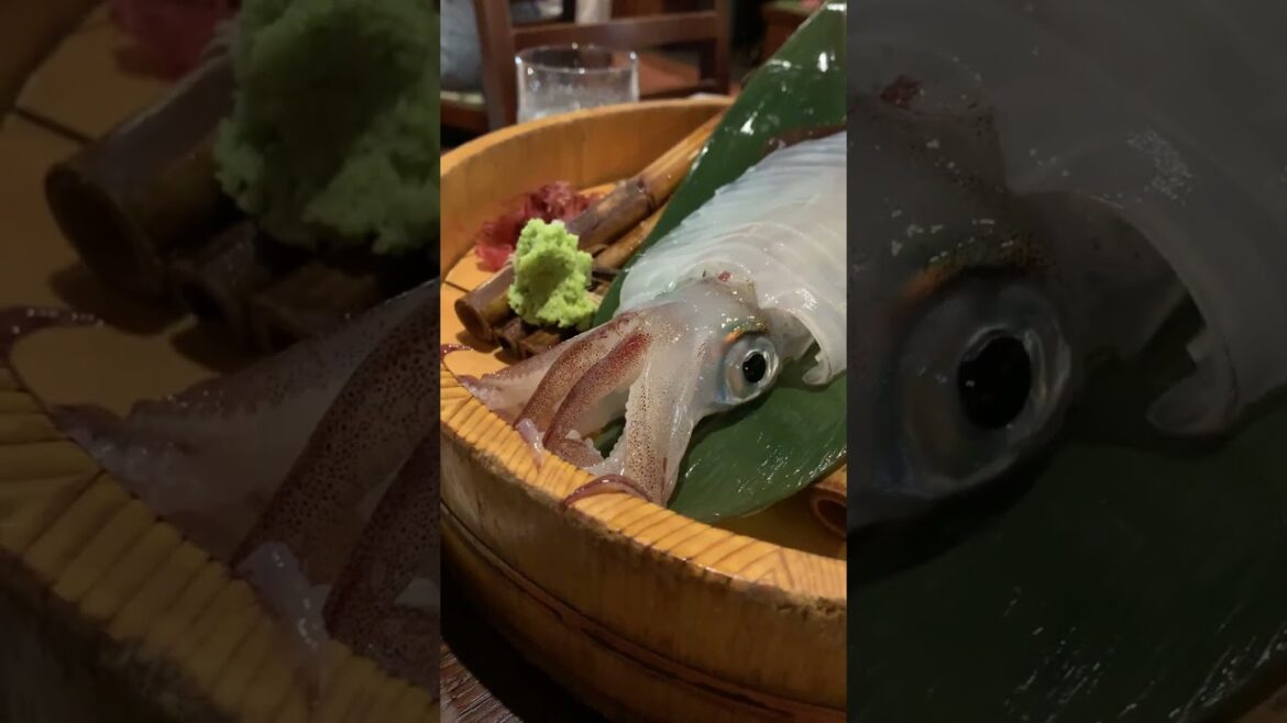 오징어회 #후쿠오카 #오징어 #travel #mrsmith 산오징어 #맛집