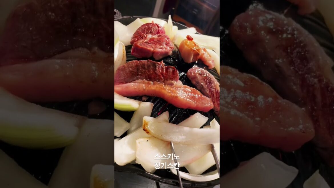 설국열차타고 북해도여행하기🚞🌊삿포로 스키장가서 보드타기⛷️ 설국열차타고 북해도여행하기🚞🌊삿포로 스키장가서 보드타기⛷️