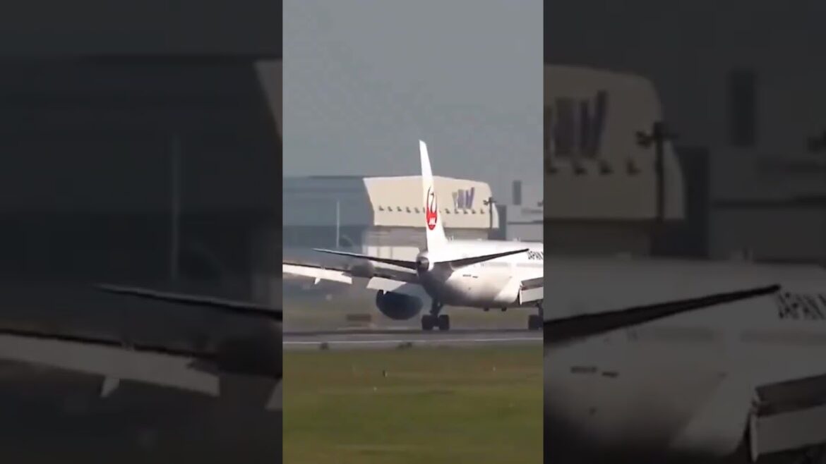 Japan Uncovered: The Best of Tokyo, Kyoto, Hiroshima, and Hokkaido