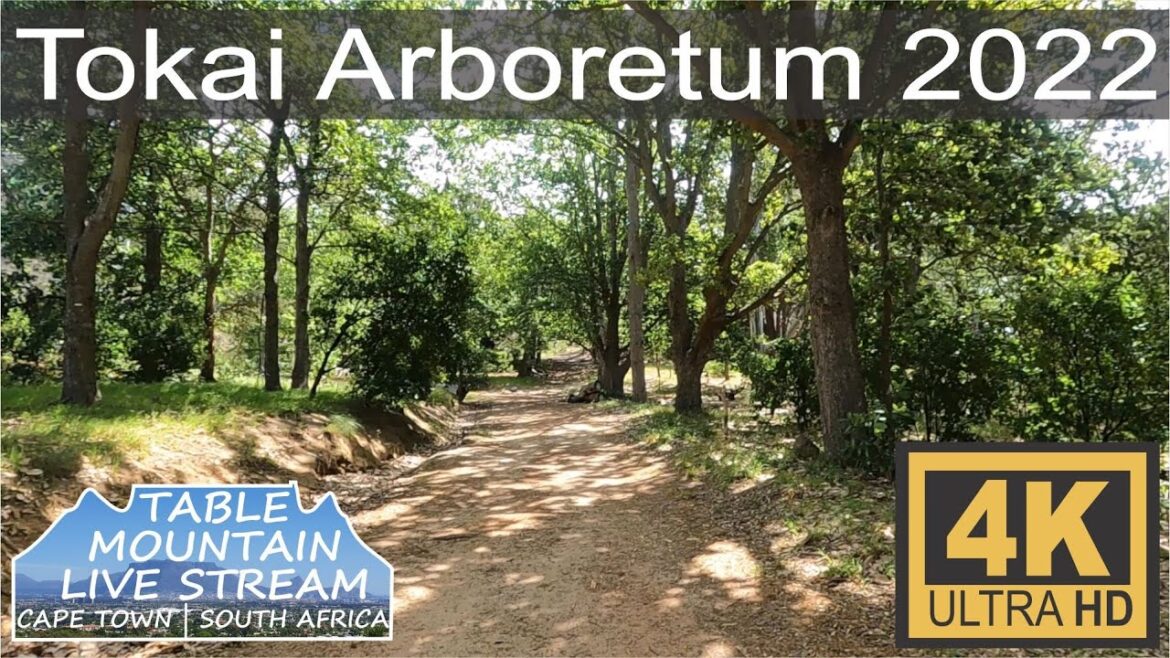 Tokai Arboretum 2022 Walking Tour Tokai Arboretum 2022 Walking Tour
