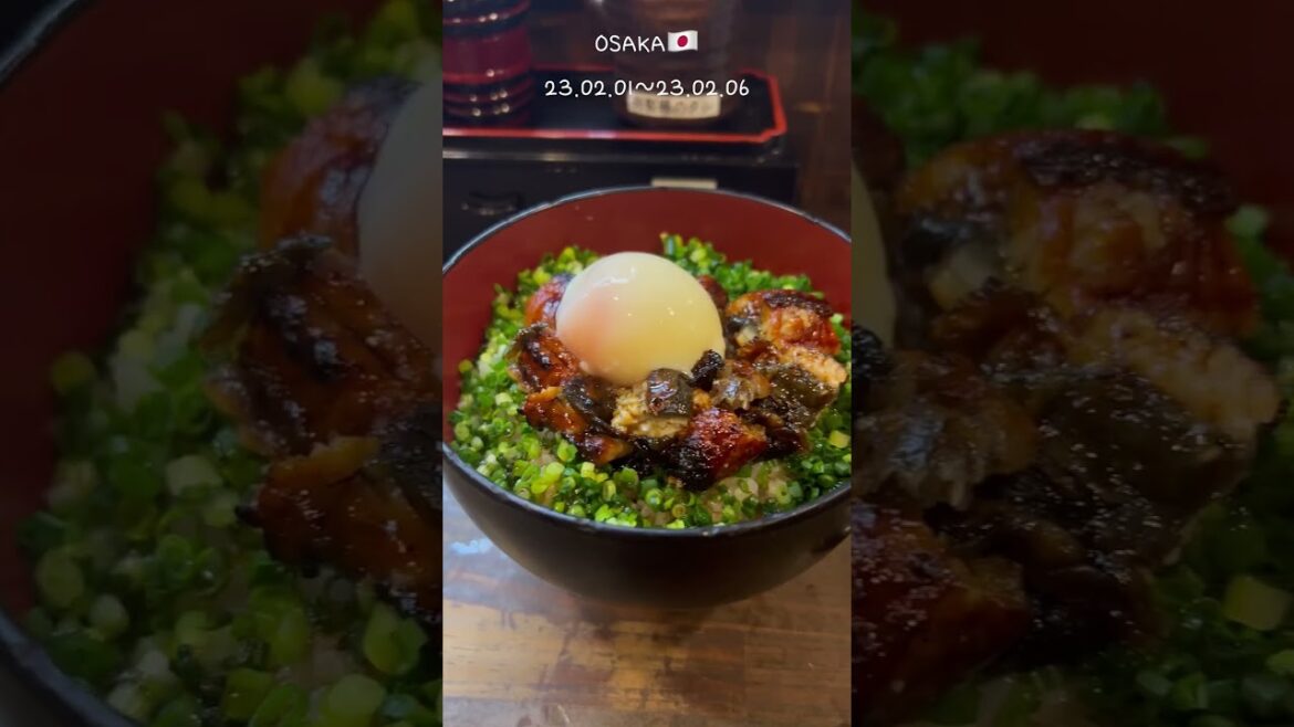 일본여행🇯🇵 오사카&삿포로 25초압축!