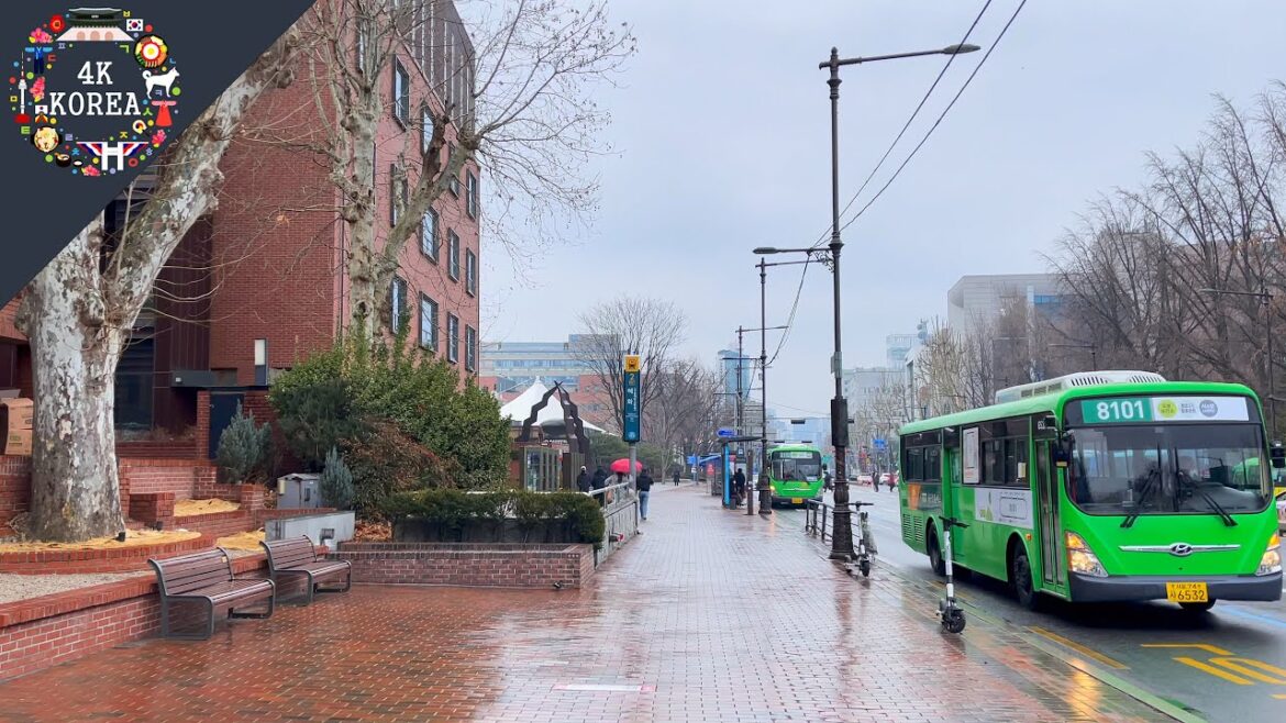 Morning after Rain, Hyehwa(Daehakro) to Myeongdong | 4K KOREA | Feb.2023 Morning after Rain, Hyehwa(Daehakro) to Myeongdong | 4K KOREA | Feb.2023