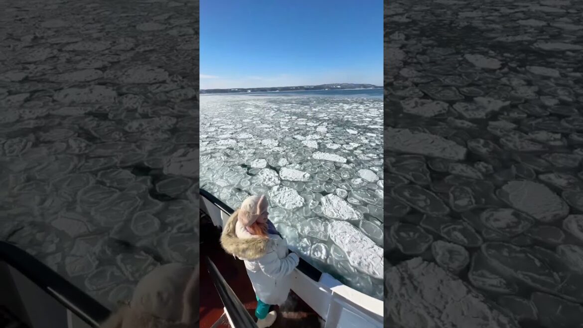 Drift ice in Hokkaido 🧊🛥 #driftice #hokkaido #japan #japantravel #shorts