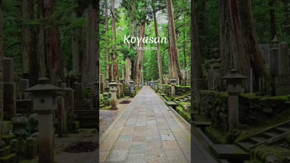 A walk in Okunoin Cemetery – Koyasan, Wakayama A walk in Okunoin Cemetery - Koyasan, Wakayama