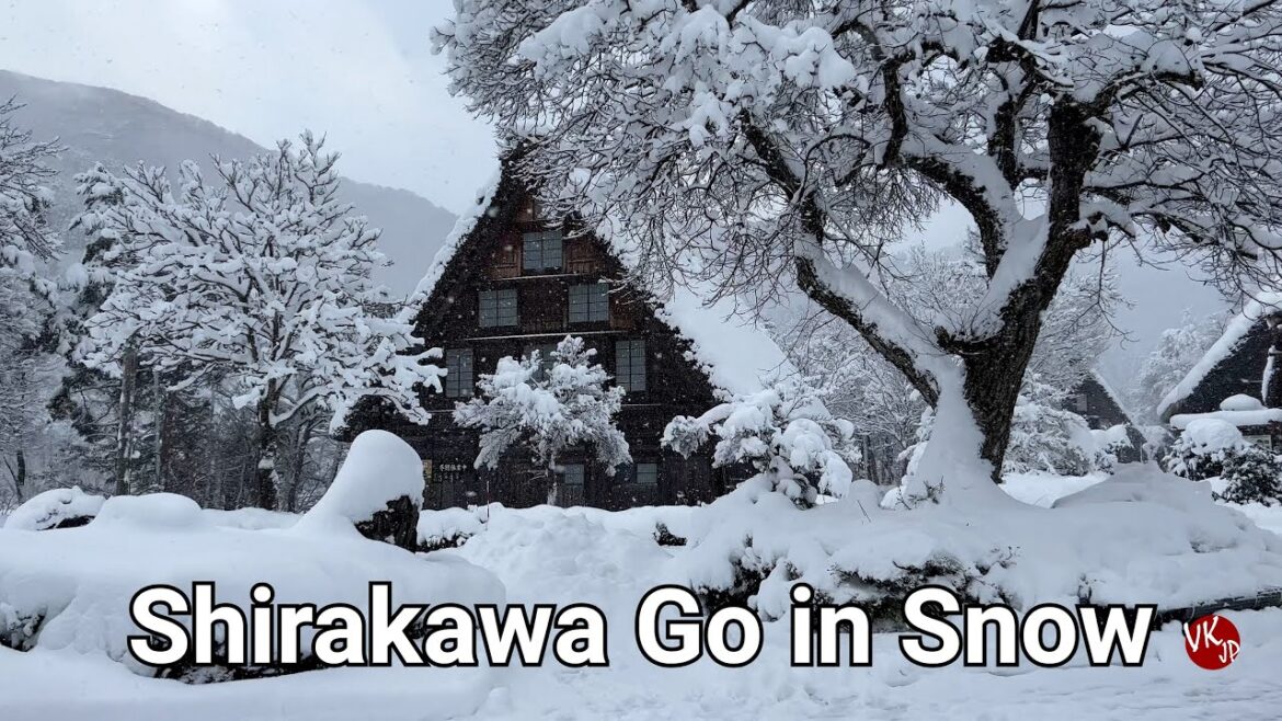 Shirakawa Go in Heavy Snow Warning 4K. Relaxing Japan. No comments. Winter Japan Travel.
