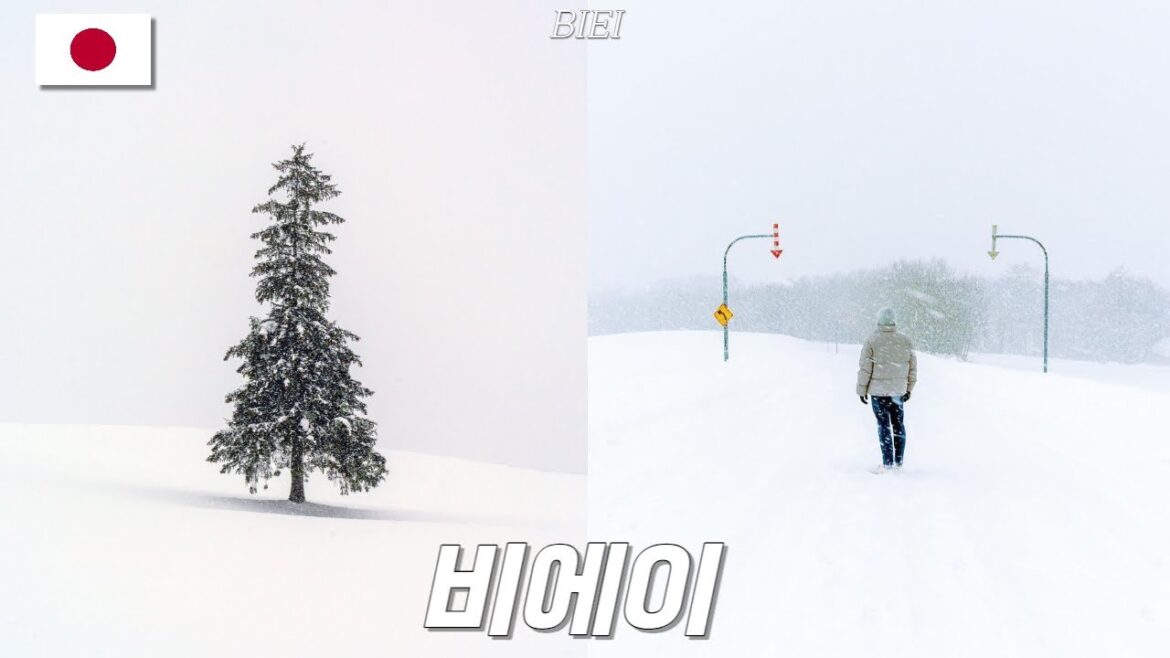 눈으로 가득했던 비에이 – 일본 (8) 눈으로 가득했던 비에이 - 일본 (8)