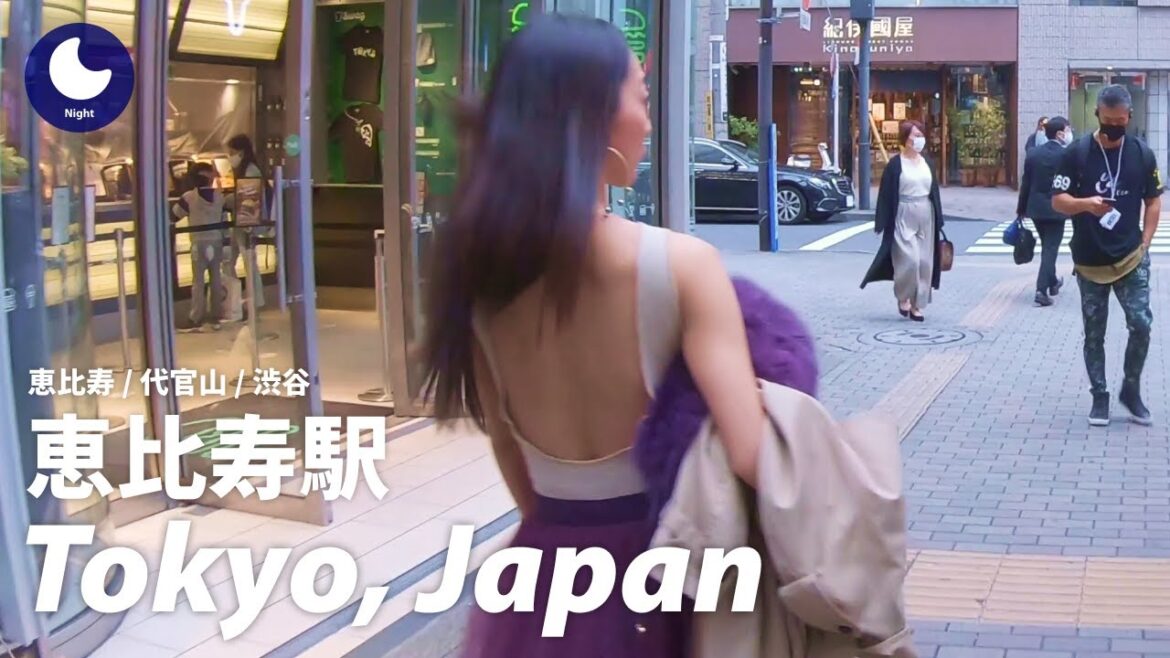 ⁴ᴷ Japan: from Ebisu Station to Shibuya Station, Tokyo : Walking Tour (November, 2020)