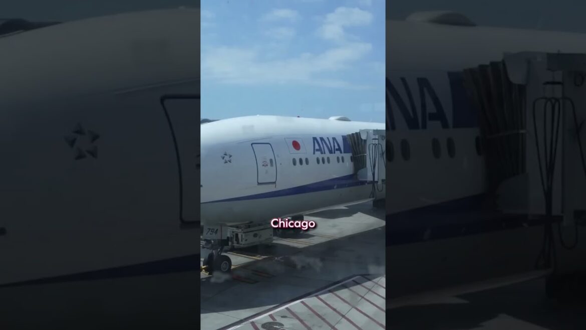 5 Best Business Class Options to Asia 5 Best Business Class Options to Asia