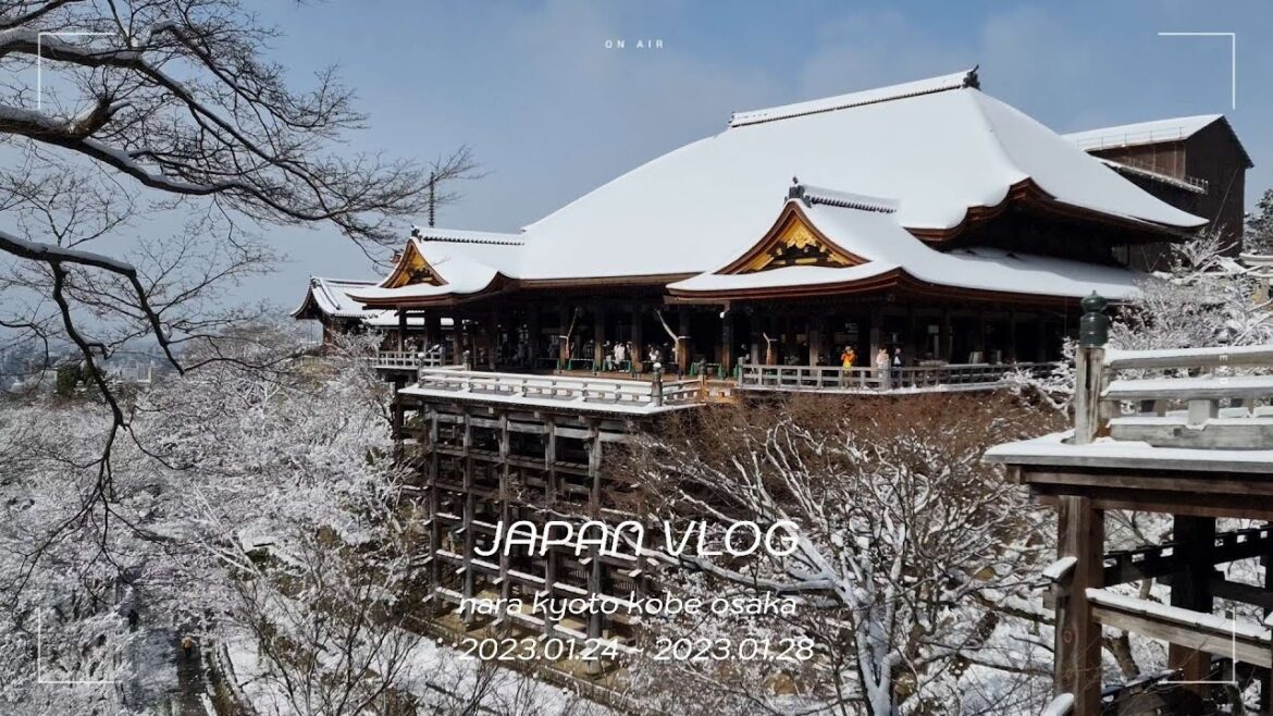 일본여행vlog ))폭설 맞은 교토❄️, 비오는 고베, 눈오는 오사카와 나라🌨 4박5일 렌트카 가족여행🚗