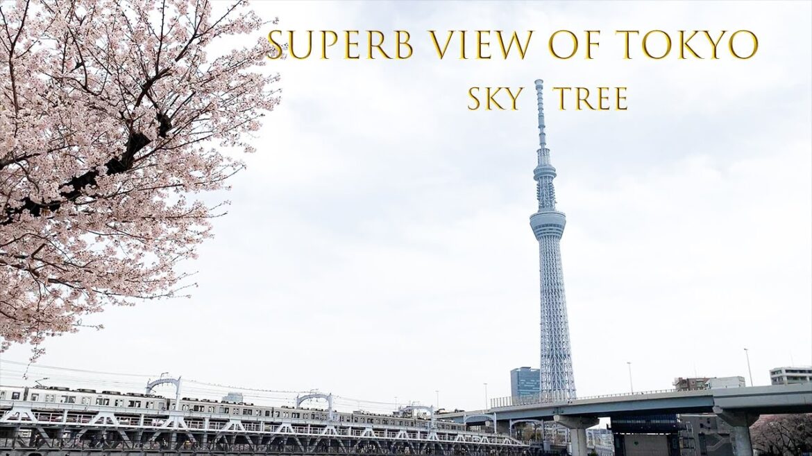 View of the tallest building in Japan｜Sky Tree