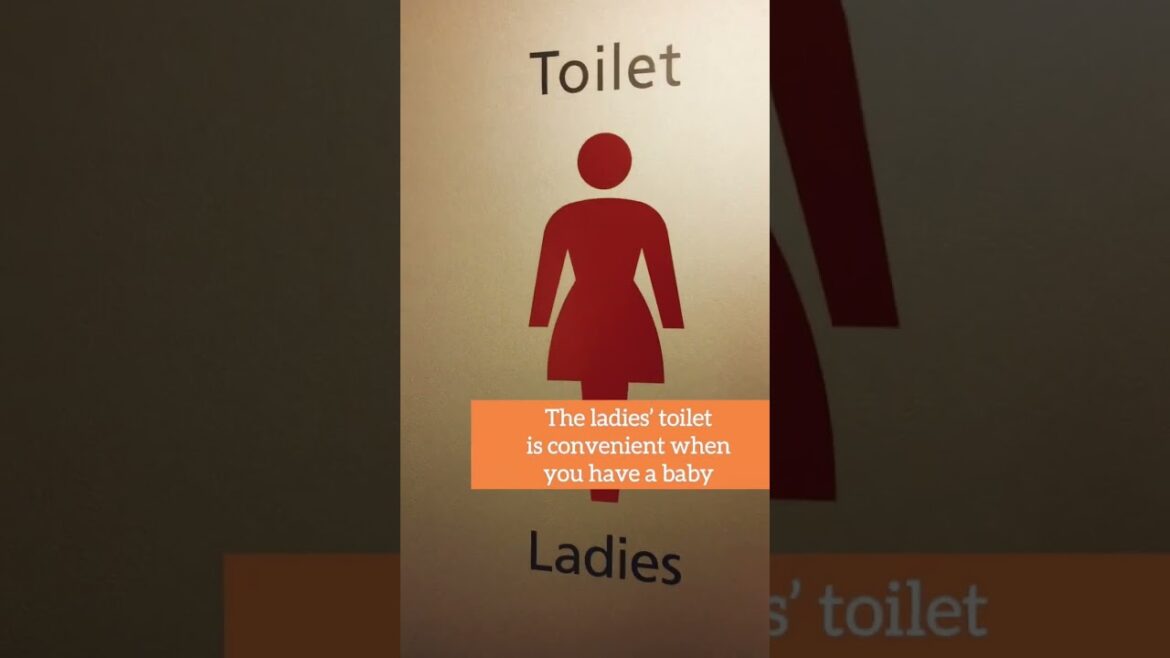 Shinkansen Tour #Japan