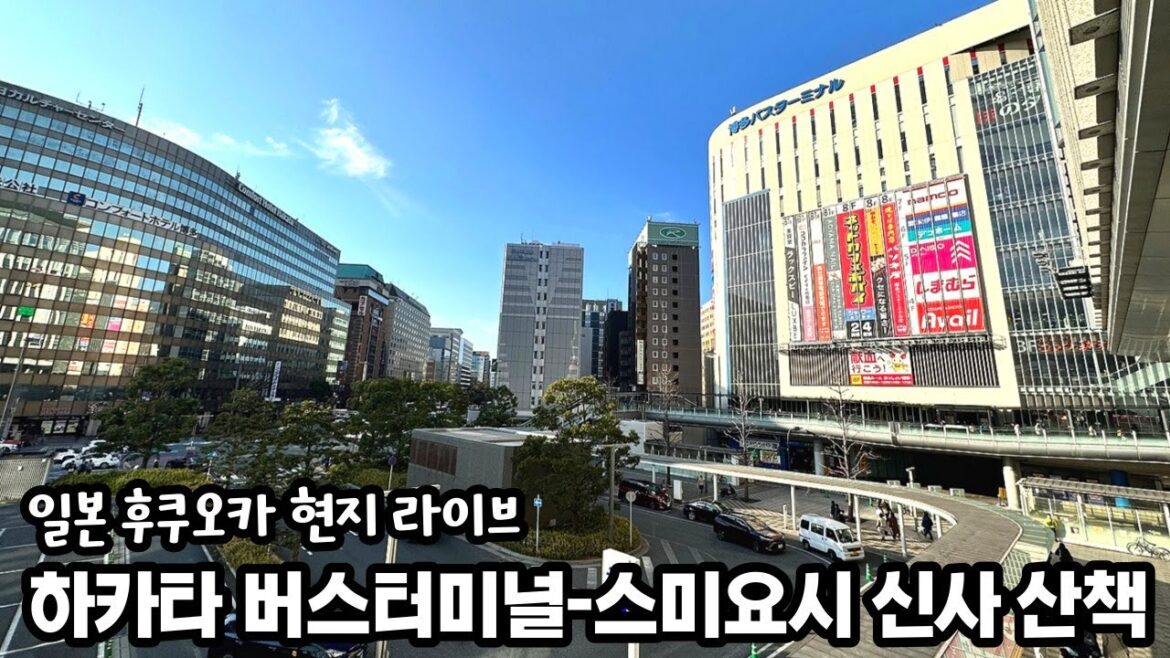 일본 현지 길거리 라이브 | 후쿠오카 생중계 | 후쿠오카 여행 | 하카타 버스터미널 | 스미요시 신사 | 하카타 시내 산책 라이브 | 화질 1080p의 사본