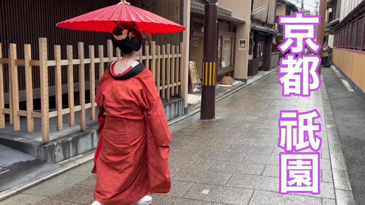 京都祇園 雨の日の舞妓さん Maiko in Gion,Kyoto 【4K】
