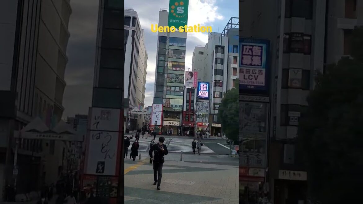 Ueno station #旅行 #上野 #東京 #travel #traveladvisor #ueno #tokyo #station #Japan