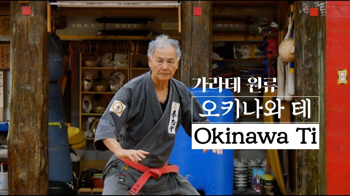 세계 무술[Martial Arts]-가라데의 원류 오키나와 테(Okinawa Ti - Origin Karate)