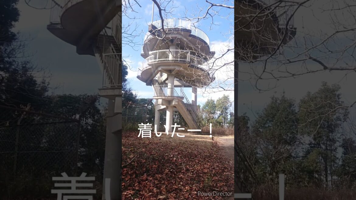 【長南町】スカイツリーが見える野見金公園展望台行ったら・・・・