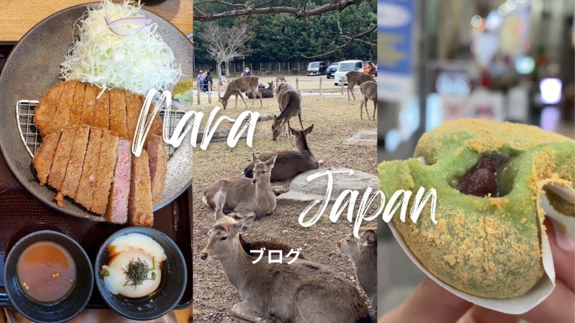 The best COFFEE, GYUKATSU and MOCHI in NARA | Must-see Bowing Deer in Nara Park | Mari Soriano 🇯🇵🦌