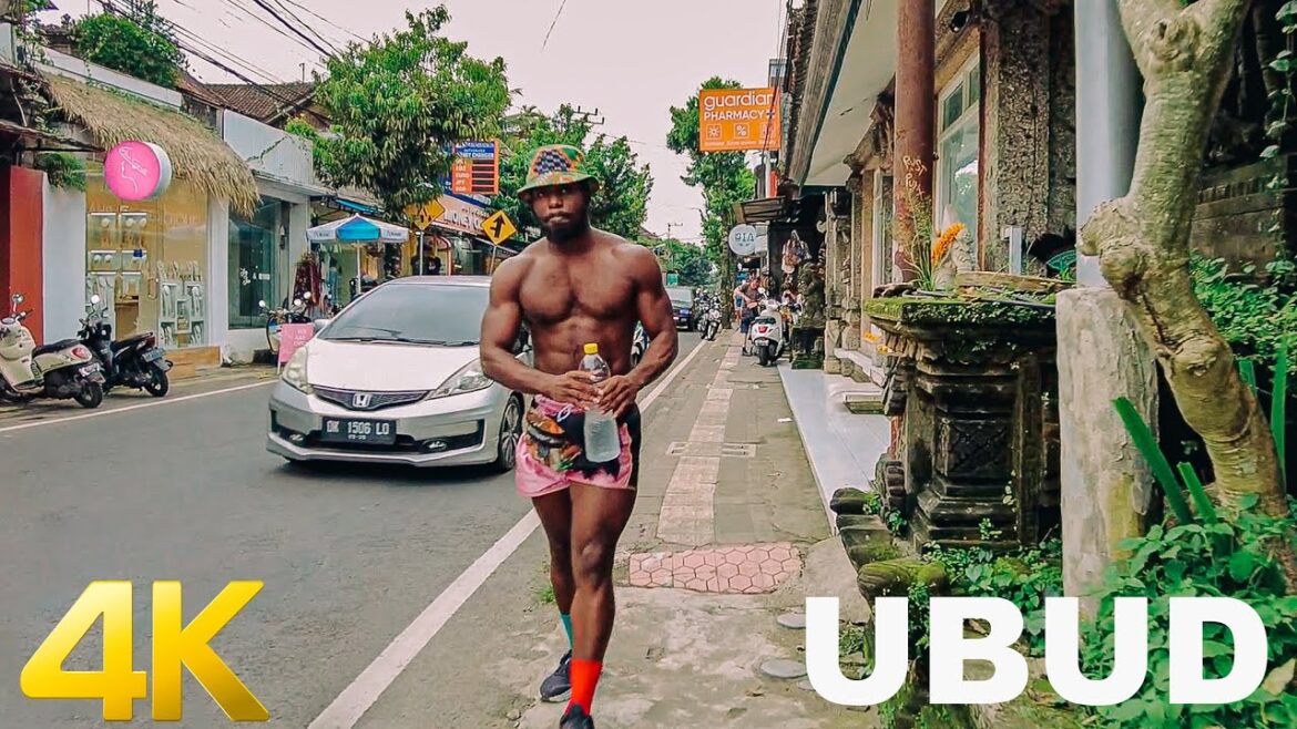 4K Ubud, Bali, Jl. Monkey Forest, Campuhan Ridge Walk ASMR Walking Tour 4K Ubud, Bali, Jl. Monkey Forest, Campuhan Ridge Walk ASMR Walking Tour