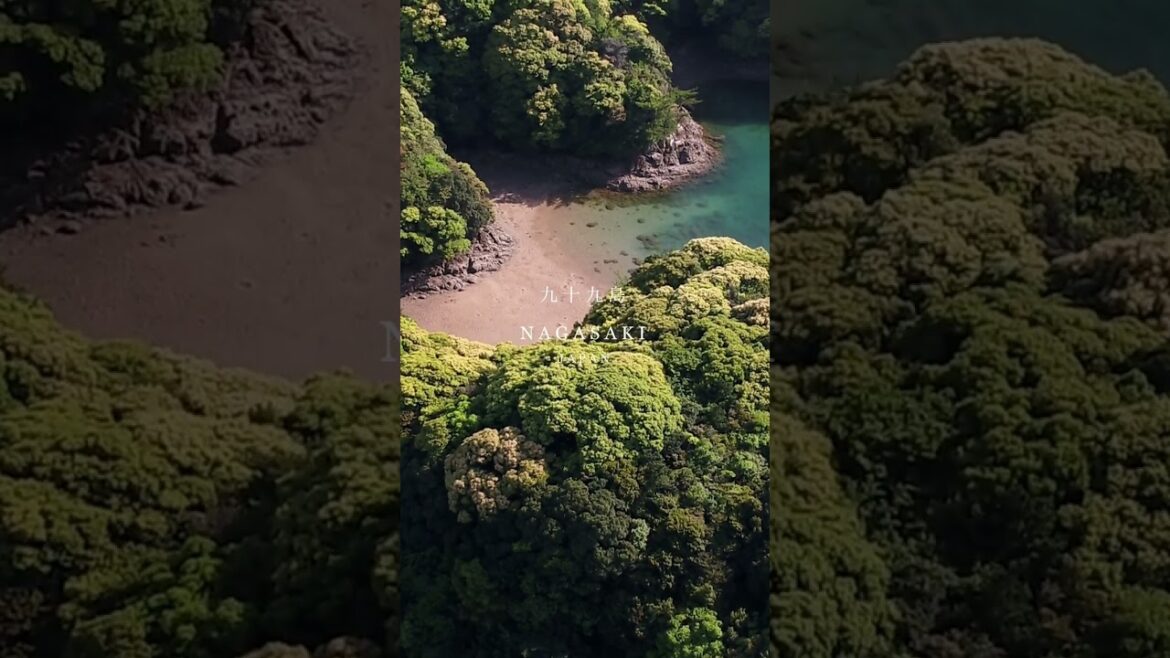 九十九島 #shorts 九十九島 #shorts