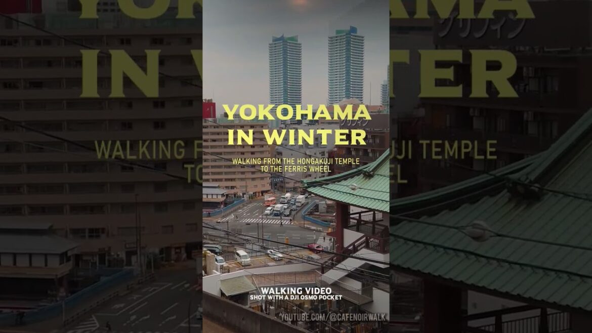 A cold and windy day in Yokohama ! Check the full video on my channel.